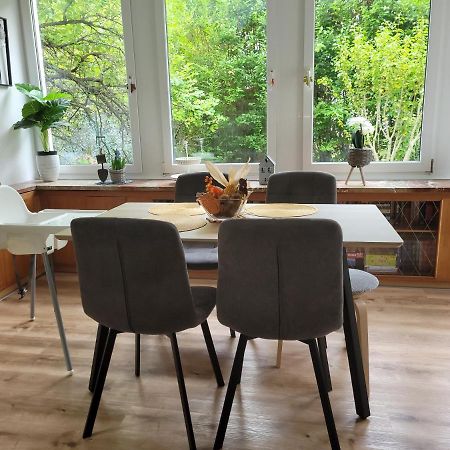 Family Apartment Linz Wohnen Mit Garten Am Fusse Des Poestlingbergs Top Lage Villenviertel Экстерьер фото