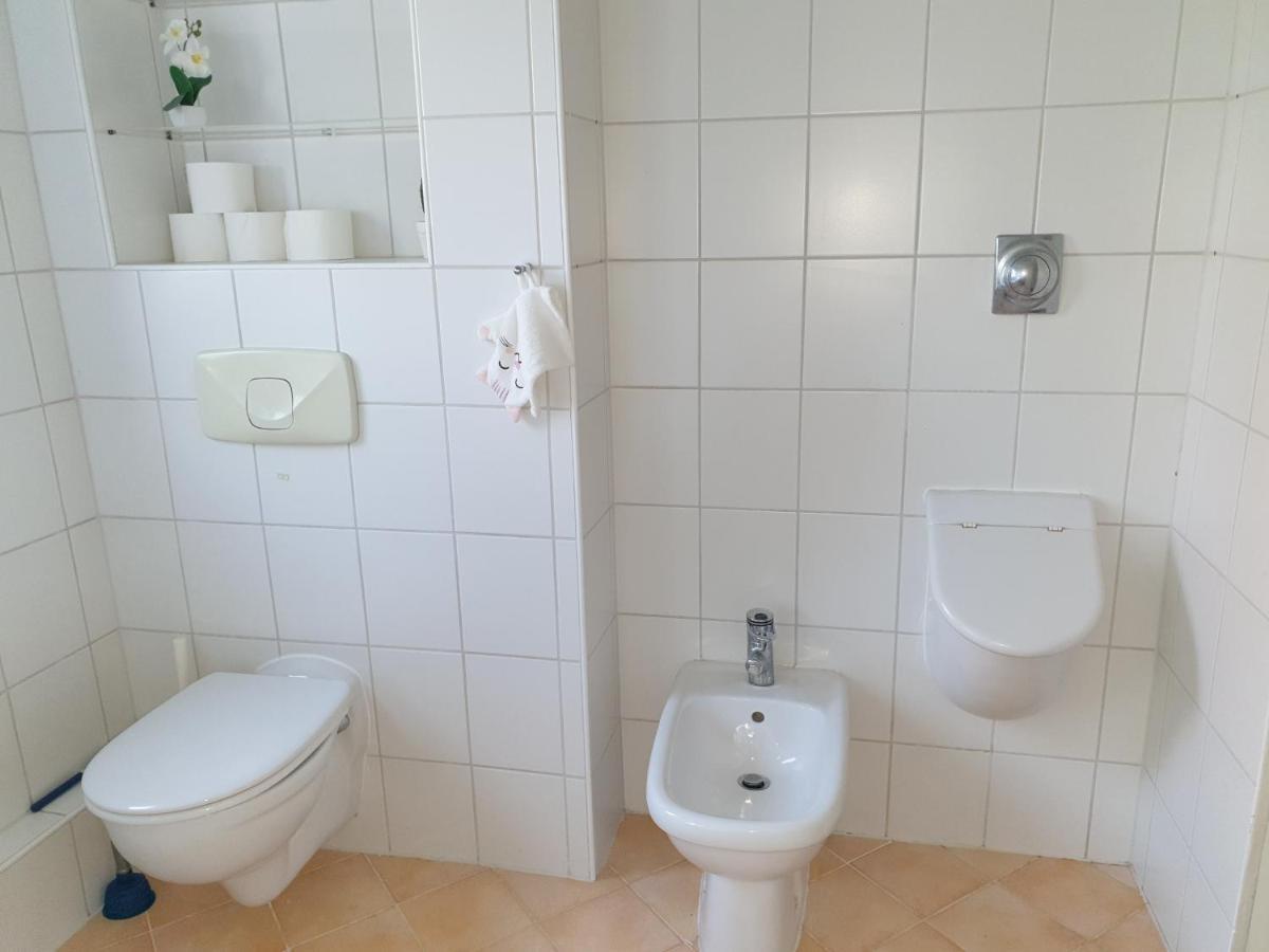 Family Apartment Linz Wohnen Mit Garten Am Fusse Des Poestlingbergs Top Lage Villenviertel Экстерьер фото