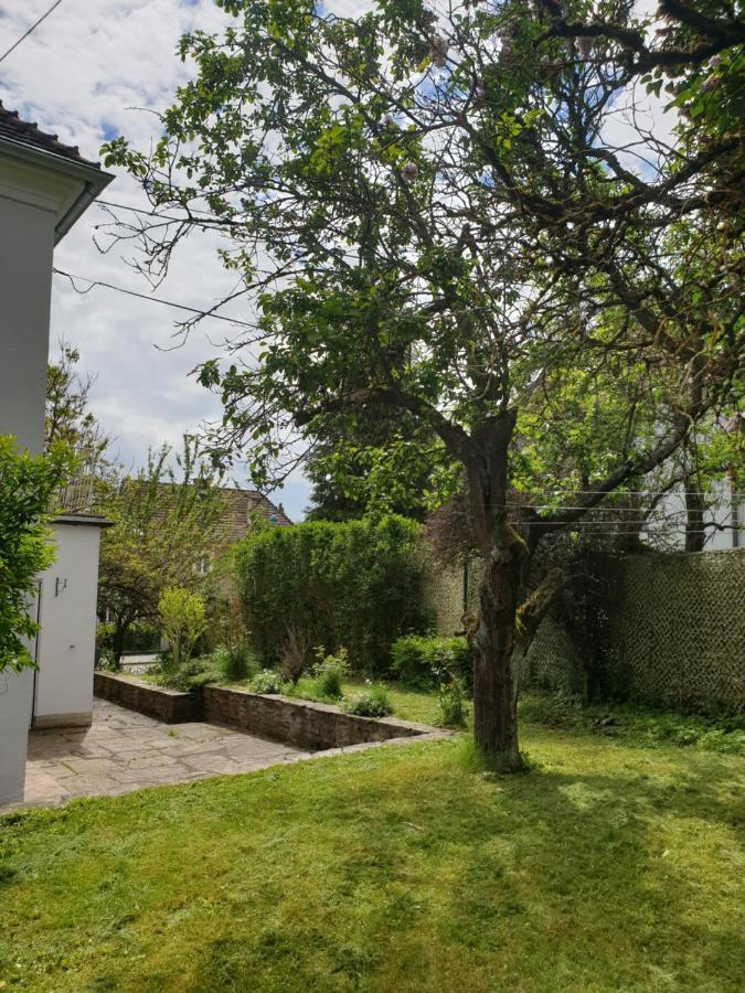 Family Apartment Linz Wohnen Mit Garten Am Fusse Des Poestlingbergs Top Lage Villenviertel Экстерьер фото