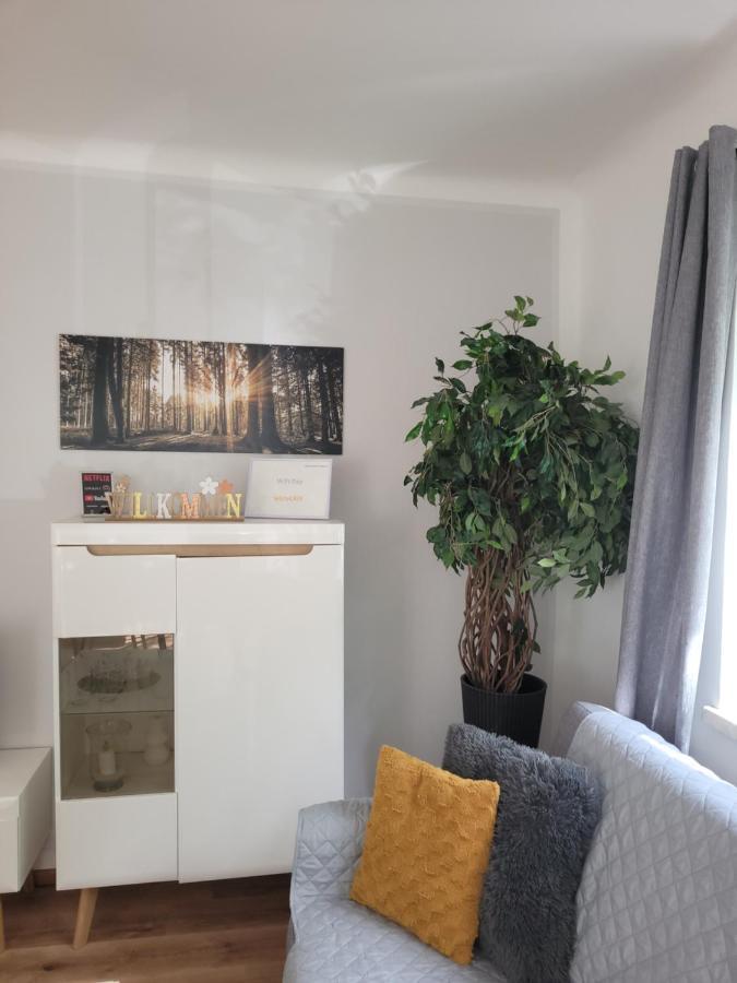 Family Apartment Linz Wohnen Mit Garten Am Fusse Des Poestlingbergs Top Lage Villenviertel Экстерьер фото